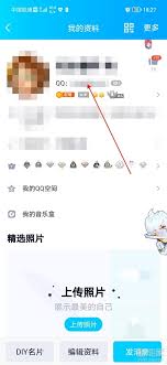 2024年2024新版本QQ中如何查看你的Q龄