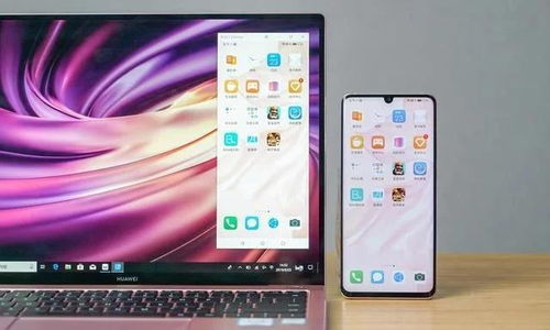 2024年iPhone15如何开关机及紧急功能使用