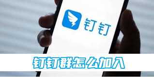 2024年钉钉如何加入兴趣群组