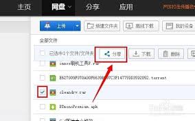 2024年手机百度网盘提取码使用指南