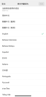 2024年微信小程序翻译功能如何设置