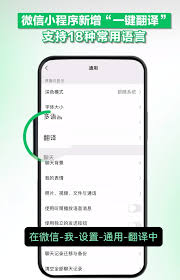 2024年微信小程序翻译功能如何设置