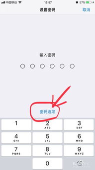 2024年苹果设备如何设置四位数密码