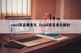 2024年soul禁言时间查询