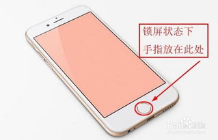 2024年微信支付密码忘记怎么办