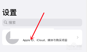 2024年如何停止免费iOS应用下载时出现的“需要验证”提示