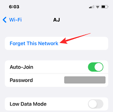 2024年iPhone上如何删除已知网络