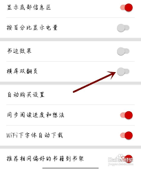 2024年百词斩如何开启横屏双翻页
