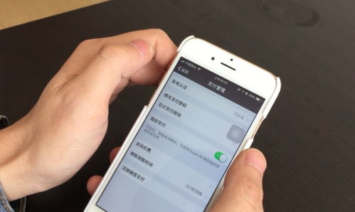 2024年苹果系列手机如何关闭每月自动扣费