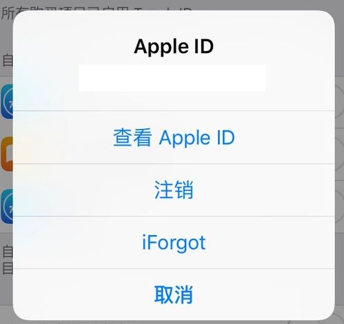 2024年苹果手机id忘了如何强制解除