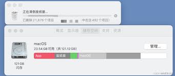 2024年ios11如何清理内存