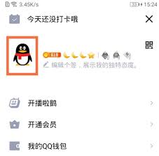 2024年qq徽章查看位置在哪里