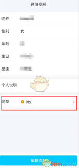 2024年查看自己的勋章墙