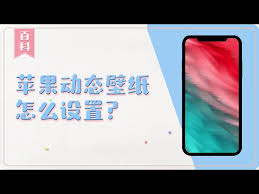 2024年苹果XR手机如何设置动态锁屏壁纸