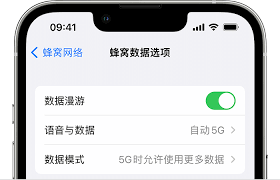 2024年苹果手机没信号无服务怎么回事