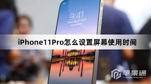 2024年iPhone11 Pro Max中如何设置应用限额