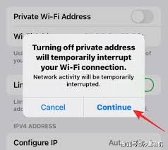 2024年如何在苹果iPhone手机上快速查找MAC地址