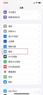 2024年动态壁纸如何设置在苹果XR手机上