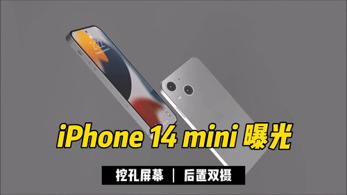 2024年iPhone14首次使用哪些功能建议禁用