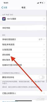2024年苹果手机设置呼叫转移