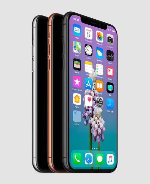 2024年怎么看iPhone型号