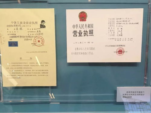 2024年企查查app如何查询企业信息