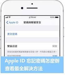 2024年如何处理忘记了AppleID密码