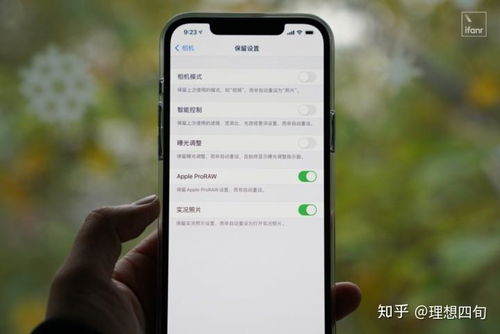 2024年如何在苹果12上查看最近清除的照片