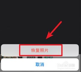 2024年如何在苹果12上查看最近清除的照片