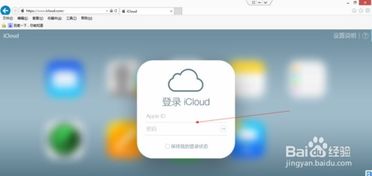 2024年苹果防丢失定位功能如何使用