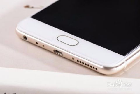 2024年vivo手机黑屏问题如何修复