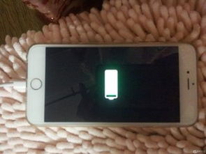 2024年iPhone为什么充不进电