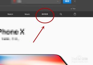 2024年如何查询iPhone激活时间