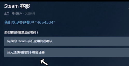 2024年手机版Steam账号是什么