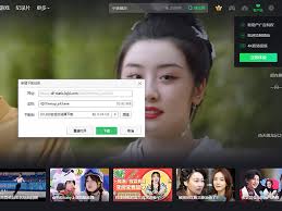 2024年爱奇艺视频如何下载至U盘