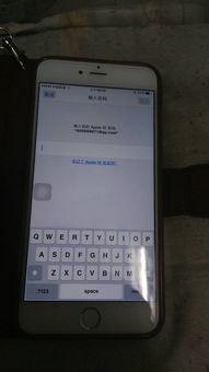 2024年苹果手机忘记ID？解锁方法全解析