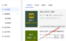 2024年小红书视频发布时间查询技巧