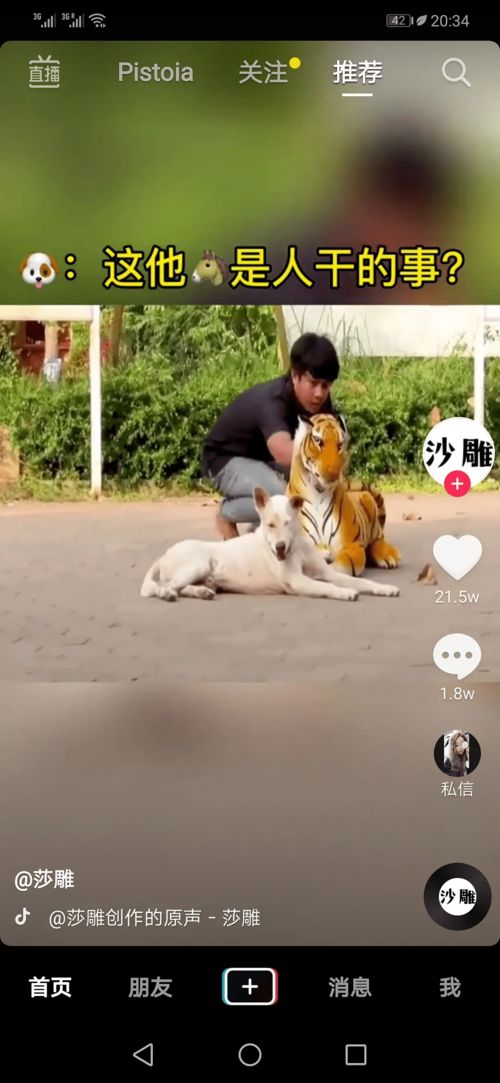 2024年抖音回复评论的温暖句子怎么写