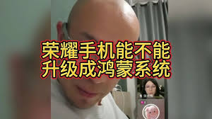 2024年荣耀手机能否升级纯血鸿蒙系统