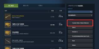 2024年哪里能买到CSR皮肤无需下载手机版steam