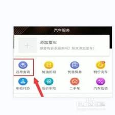 2024年懂车帝如何查询车辆违章