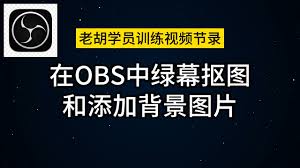 2024年obs教程