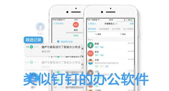 2024年钉钉办公软件哪些好看