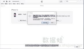 2024年白苹果现象解释