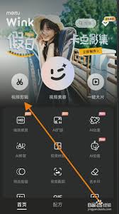 2024年如何给视频配音使用Wink 