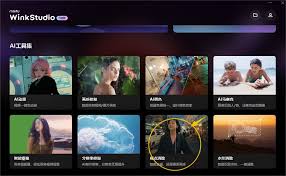 2024年如何给视频配音使用Wink 