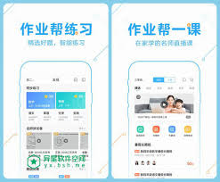 2024年作业帮如何查询整套答案