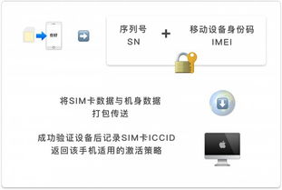 2024年iPhone有锁无锁的区别是什么