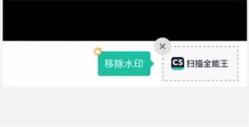 2024年扫描全能王如何去掉照片水印