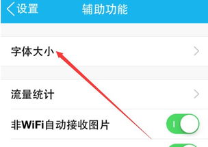 2024年苹果手机如何调整字体大小